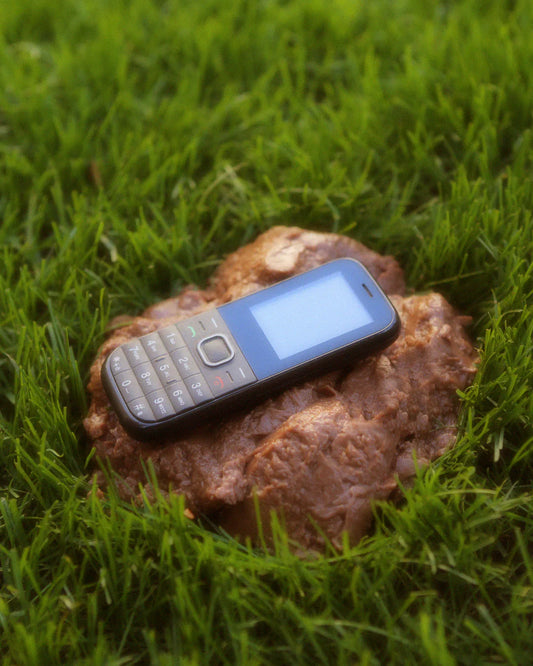 Nature’s on the Phone - A Guide on How to Successfully Go in the Woods