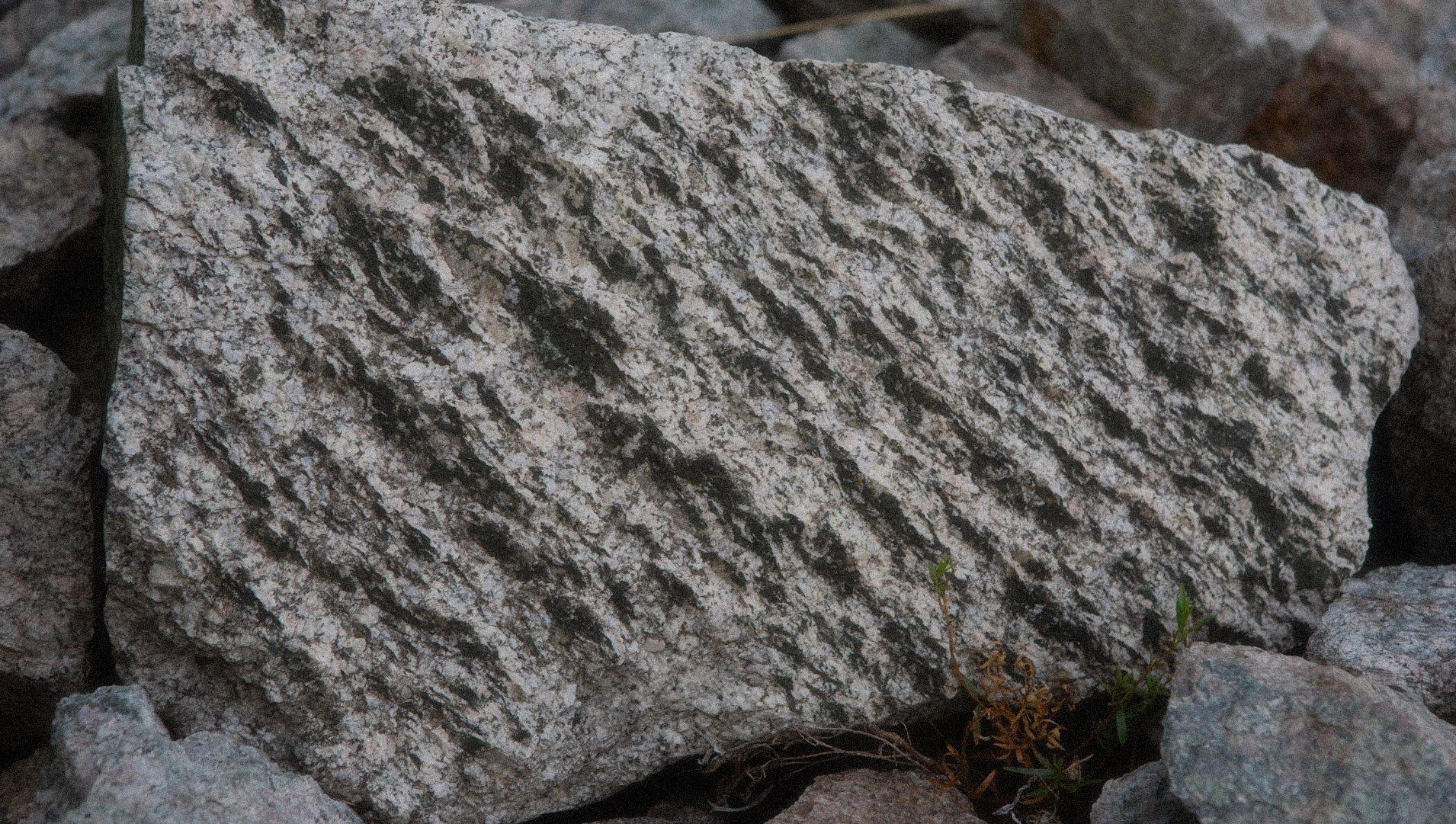 Granite rock in the climbing area Face Bouc in Briancon France.